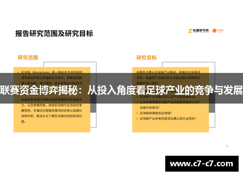 联赛资金博弈揭秘：从投入角度看足球产业的竞争与发展
