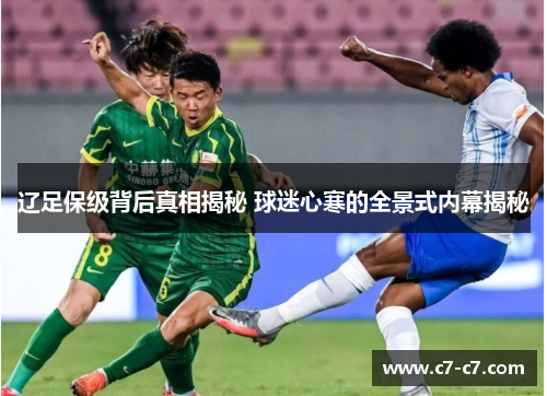 辽足保级背后真相揭秘 球迷心寒的全景式内幕揭秘