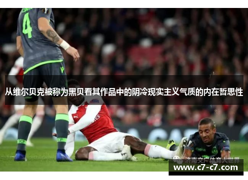 从维尔贝克被称为黑贝看其作品中的阴冷现实主义气质的内在哲思性
