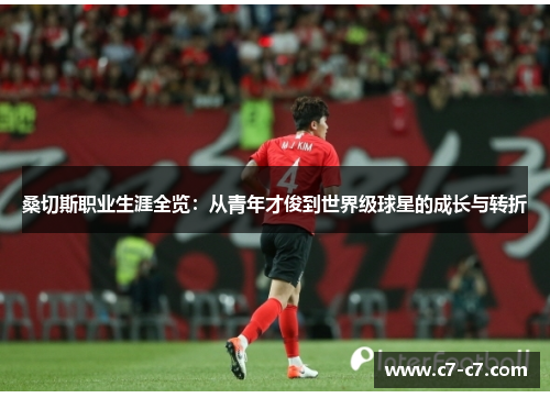 桑切斯职业生涯全览：从青年才俊到世界级球星的成长与转折